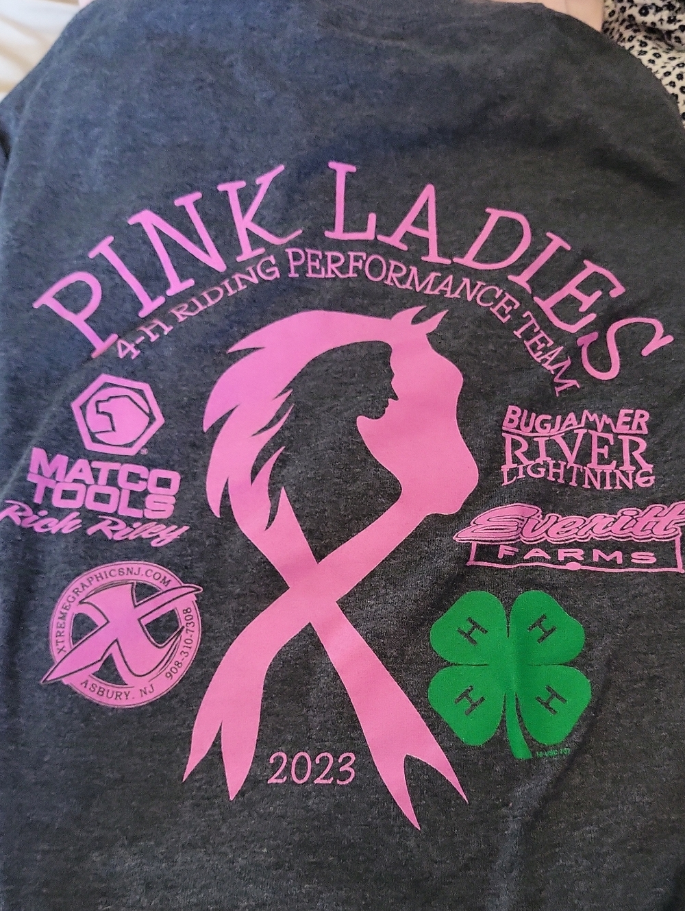 Equestrian Breast Cancer 4H Riding Team